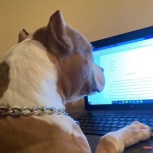 Meet your Posher, Bryan